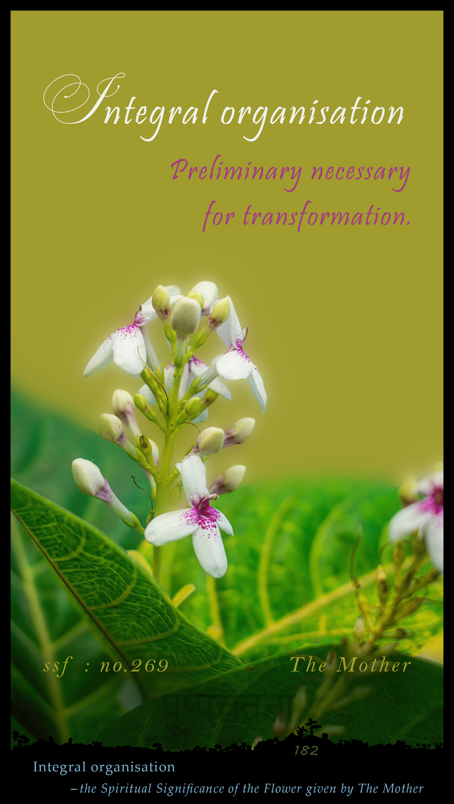 Integral Organisation